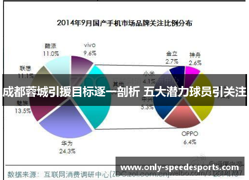 成都蓉城引援目标逐一剖析 五大潜力球员引关注