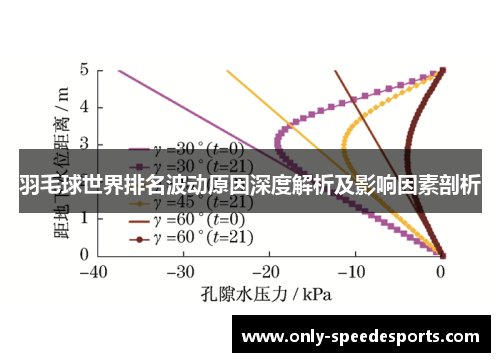 羽毛球世界排名波动原因深度解析及影响因素剖析