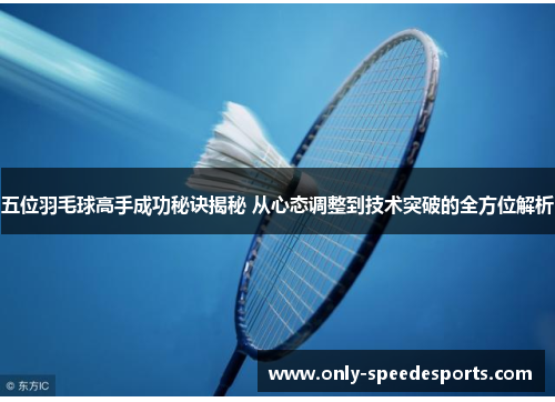 五位羽毛球高手成功秘诀揭秘 从心态调整到技术突破的全方位解析