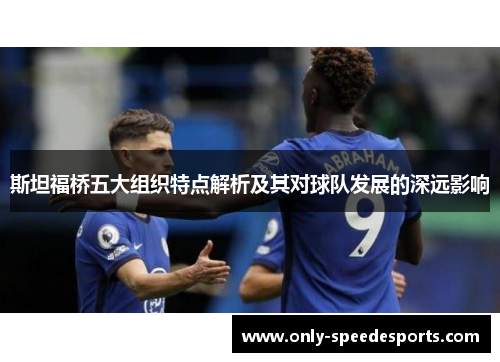 斯坦福桥五大组织特点解析及其对球队发展的深远影响